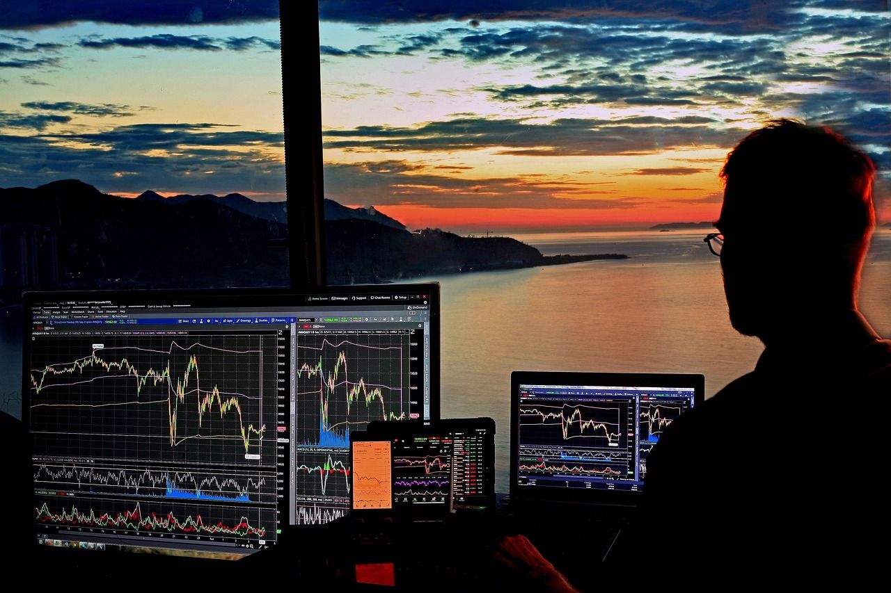 stock trading, investing, stock market, forex, finance, money, crypto, bitcoin, shiba, station