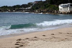 Strand in Sydney schließt wegen 