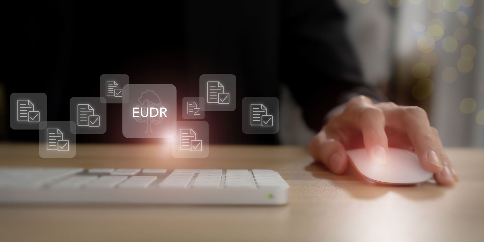 Strategische Partnerschaft zur EUDR