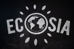 Suchmaschine Ecosia