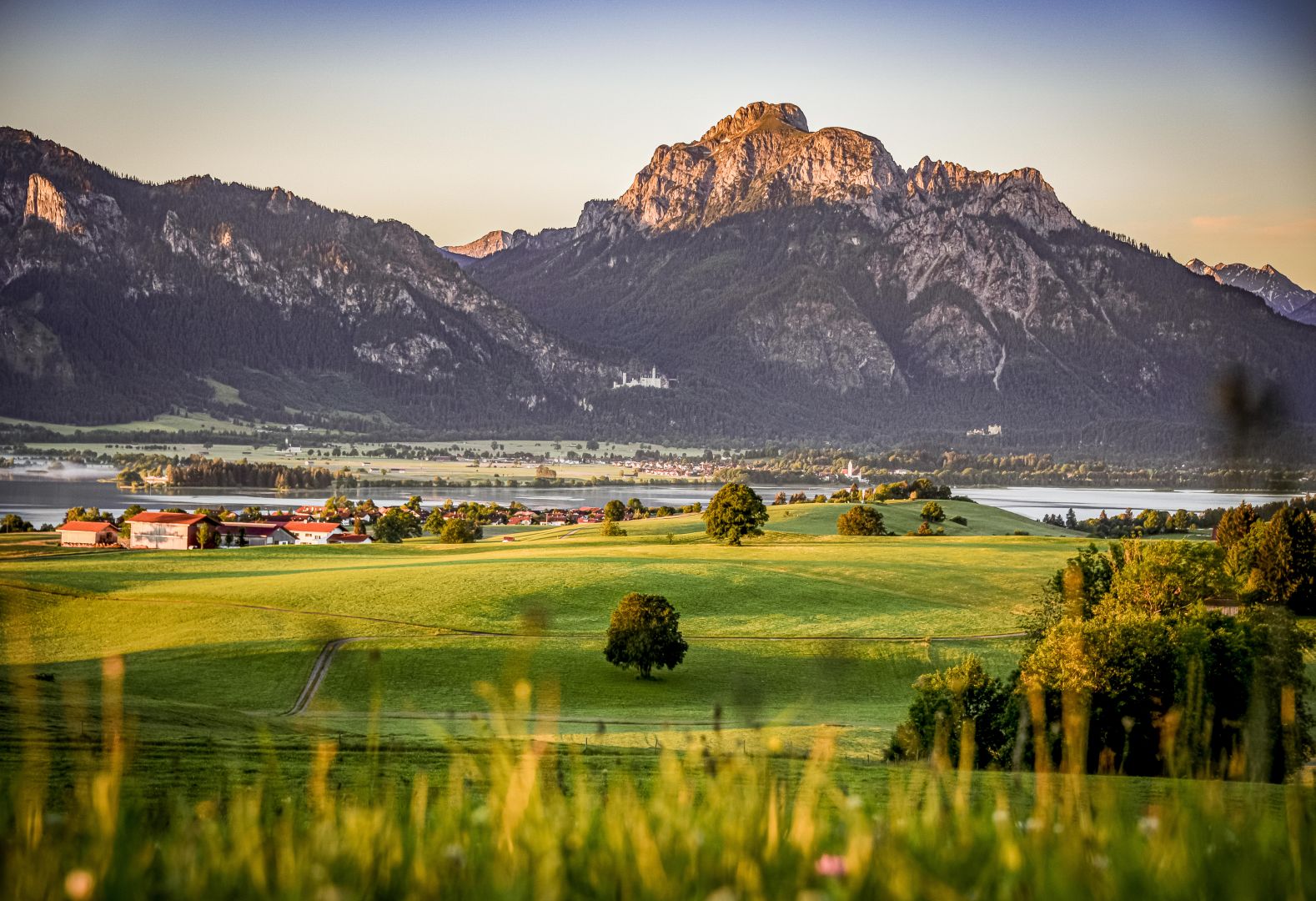 Südliches Allgäu – Hier lebt der Sommer!