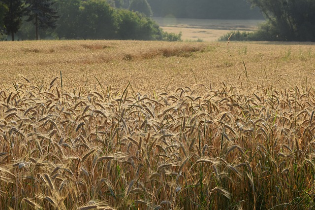 Kooperation von Landwirtschaft und Naturschutz für Biodiversität unabdingbar
