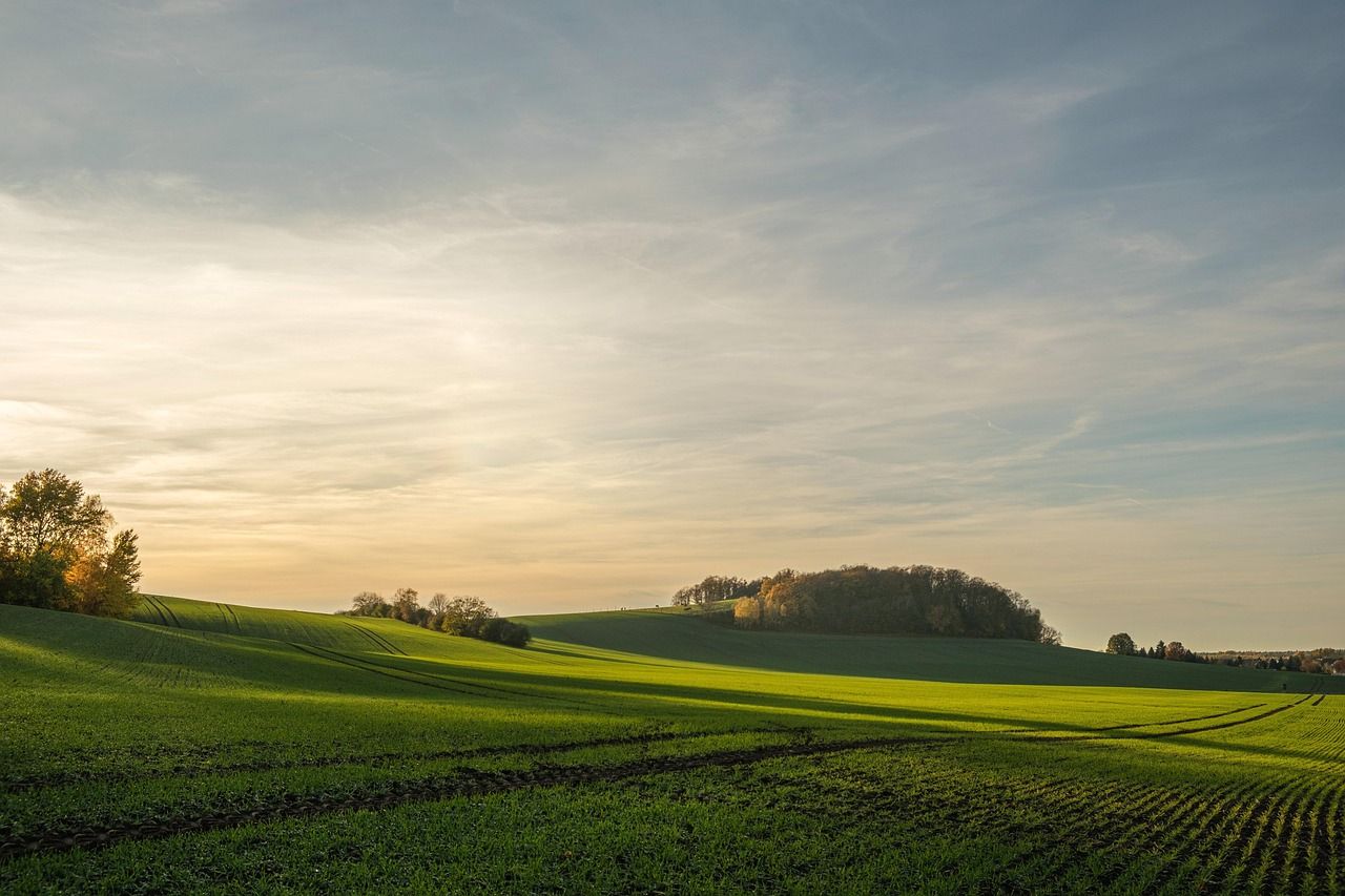 sunset, dusk, landscape, nature, the shade, field, november