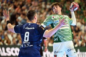 TBV Lemgo Lippe - Füchse Berlin