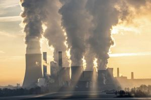 Teure Symbolpolitik: Dax-Konzerne investieren halbe Milliarde Euro in umstrittene CO₂-Gutschriften