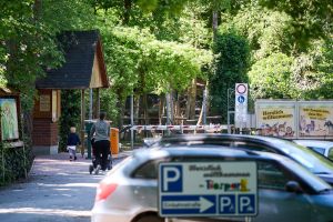 Tiger verletzt Mitarbeiterin in Tierpark