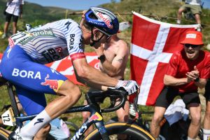 Tour de France - 12. Etappe