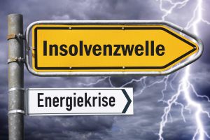 Übernahmen im Ausverkauf – Wie Unternehmen die Pleitewelle für Schnäppchen nutzen