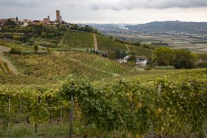 UNESCO-Landschaften im Piemonte: Wo Fässer rollen und Kunst im Weinberg steckt