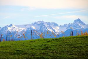 vineyard, hill, mountains