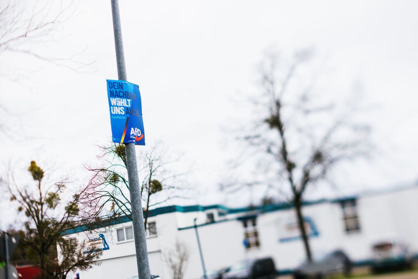 Wahlplakate in Lahr