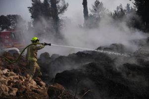 Waldbrand in Israel