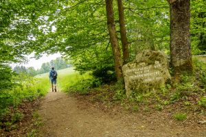 Wanderangebot des Harzklub Bad Harzburg im Monat Juni