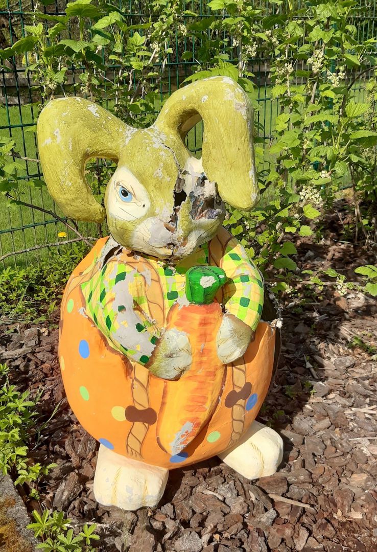 Waschbären-Nachwuchs im Osterhasen