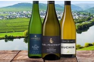 Weinbörse: 30€ Neukundenrabatt (ab 60€ MBW)
