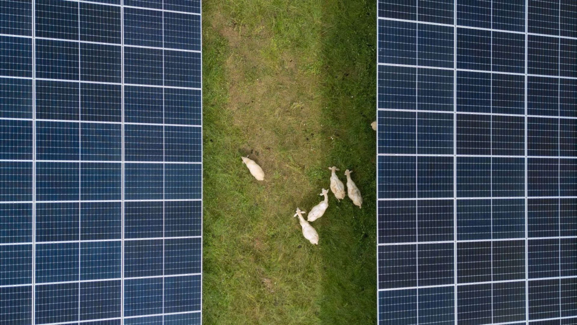 Wie ausgerechnet die Sonne das Netz an den Rand bringt