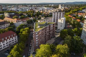 Wie Dachbegrünung das Regenwasser zähmt