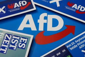 Wie der Verfassungsschutz die AfD enttarnt