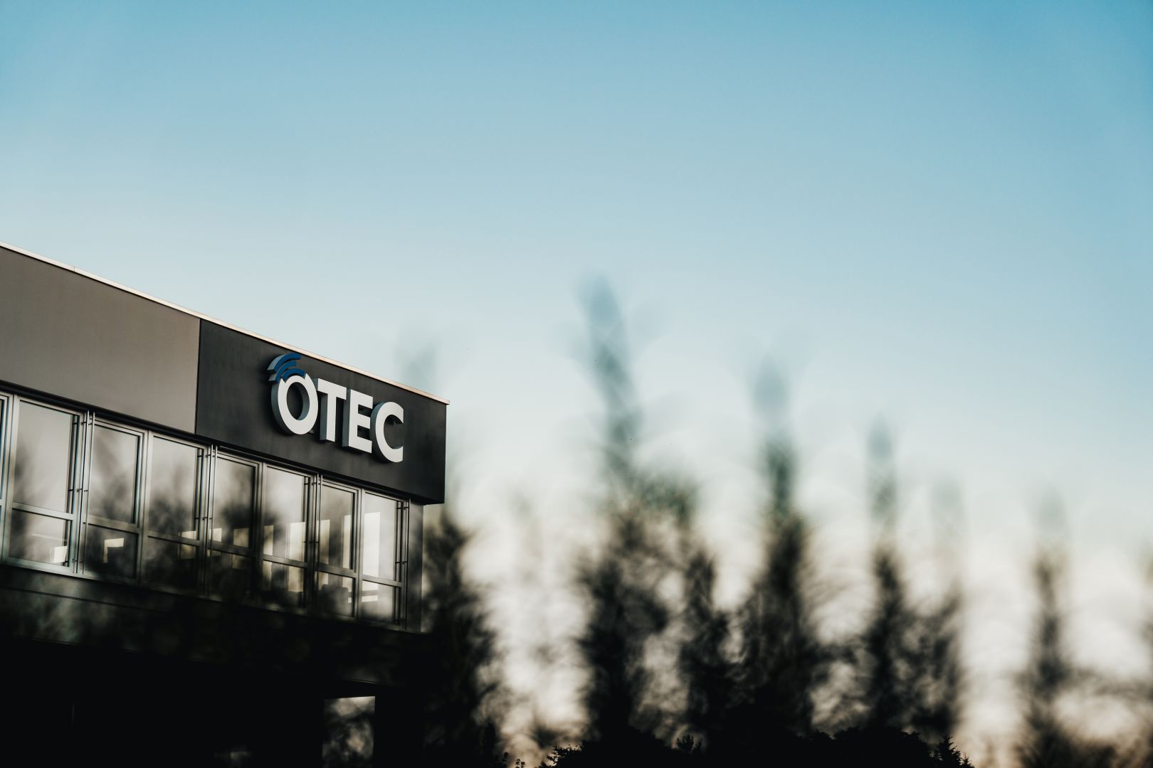 Wie Innovation und Flexibilität den Weg zu nachhaltigem Erfolg ebnen