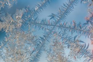 winter, frost, nature