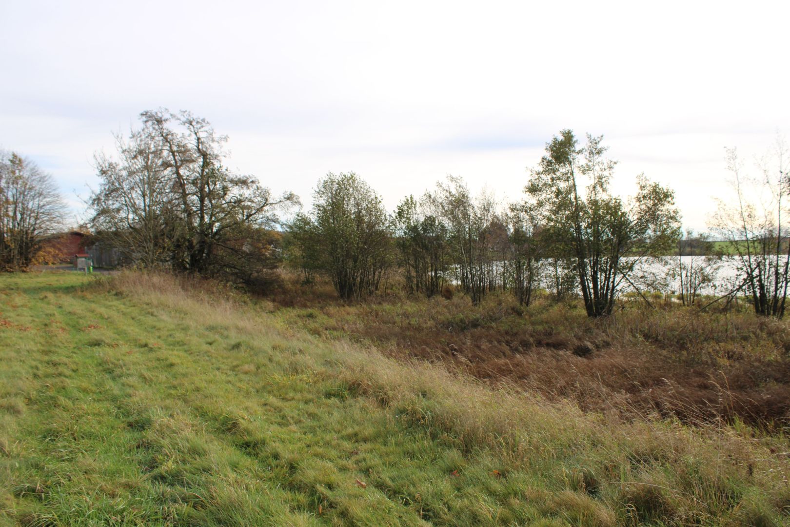 Ziel: Teich ökologisch aufwerten
