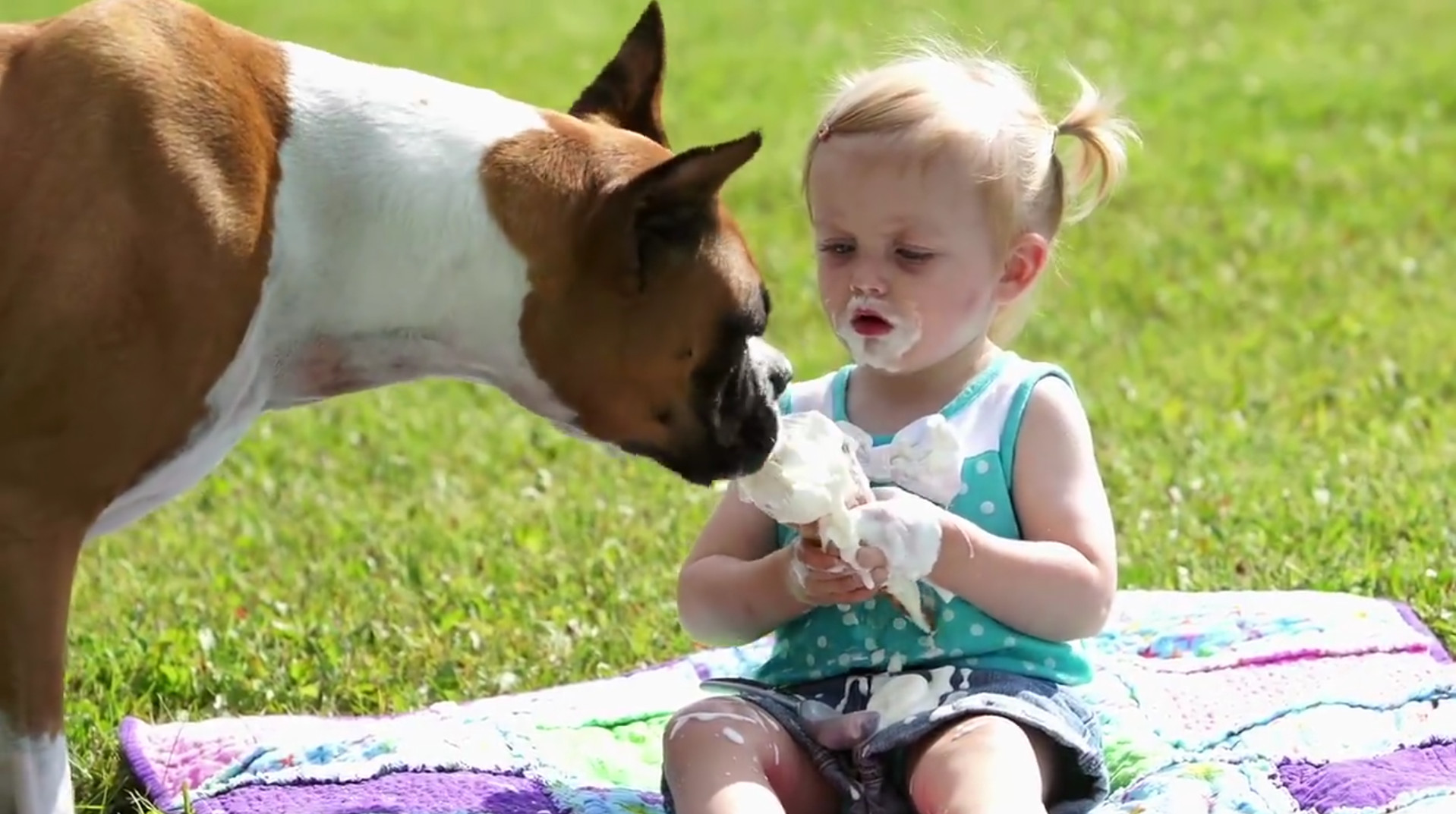 Hund Isst Eis Von Diesem Kind Und Wird Uber 792 000 Mal Gesehen