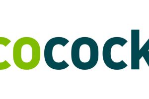 10 Jahre ecocockpit