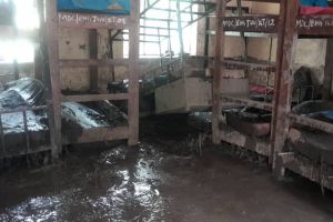 1.690 Euro für Schulprojekt in Tansania