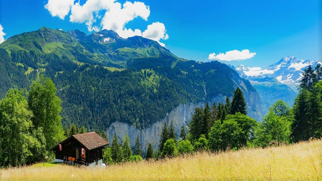 Die Lebensunterhaltungskosten in der Schweiz