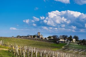 2023er Bordeaux: Ein klassisch-kontemporärer Jahrgang