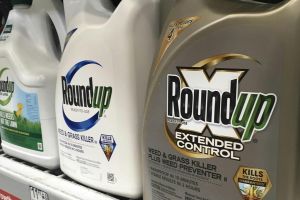 2,1-Milliarden-Dollar-Urteil gegen Bayer verschärft Glyphosat-Krise in den USA