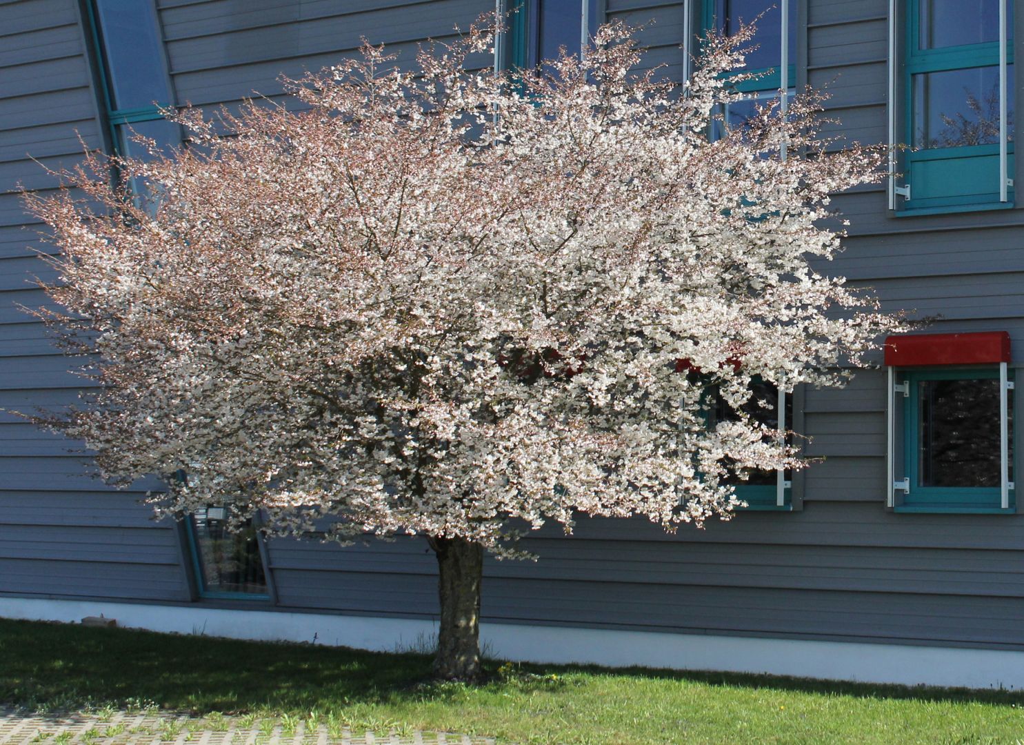 25 Jahre WITTENSTEIN-Weltgarten – Vielfalt erleben, Wandel begreifen
