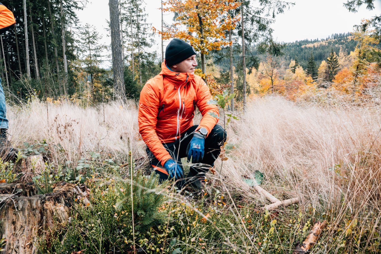 5.000 Bäume für die Zukunft: PASSION4IT pflanzt gemeinsam mit Planted im Viechtacher Wald