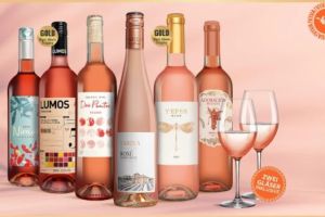 6 Flaschen Rosé-Wein (Vinos Sommer Rosado Paket) + 2 Schott Zwiesel Gläser für 29,99€