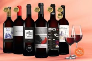 6 Flaschen Rotwein (Vinos Tinto Paket) + 2 Schott Zwiesel Gläser für 25,99€