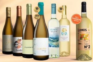 6 Flaschen Weißwein (Vinos Sommer Blanco Paket) + 1,5L Magnum für 29,99€