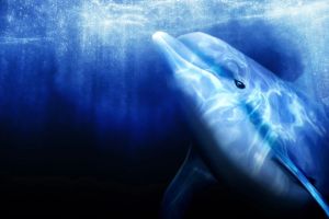 25 Jahre später: Sega bringt Ecco the Dolphin zurück auf die Gaming-Bühne