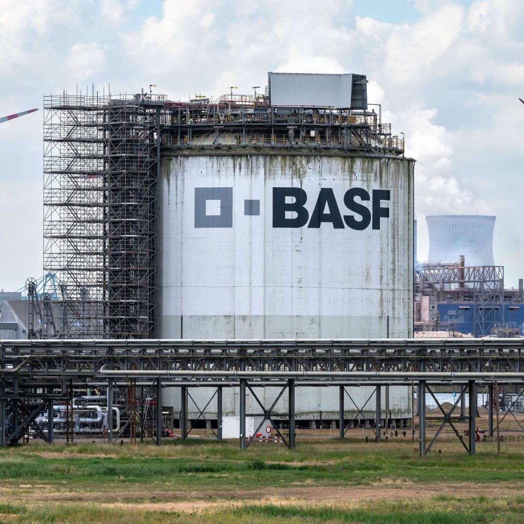 BASF sichert globale Aromastoffversorgung: Neue Megaanlagen für Menthol, Linalool und Citral