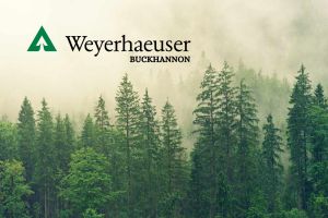 Giganten am Abgrund der Transformation: Der Tag der Abrechnung für Energie und Rohstoffe