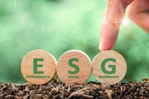 Nachhaltige Geldanlage: Wie ESG-Kriterien die Zukunft der Kapitalmärkte prägen