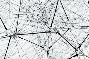 Wirtschaftliche Stabilität und Wachstumschancen: Was Investoren jetzt wissen müssen