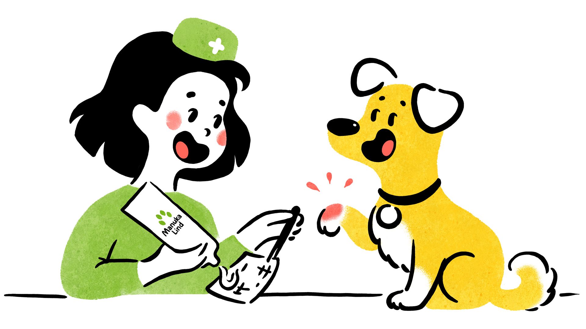 Ab in die Tierarztpraxis?!