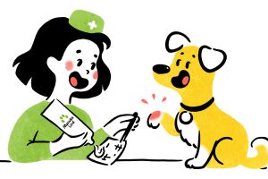 Ab in die Tierarztpraxis?!