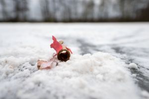  Abgebrannter Böller 