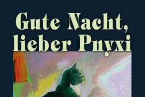 Abschied von einer Katze