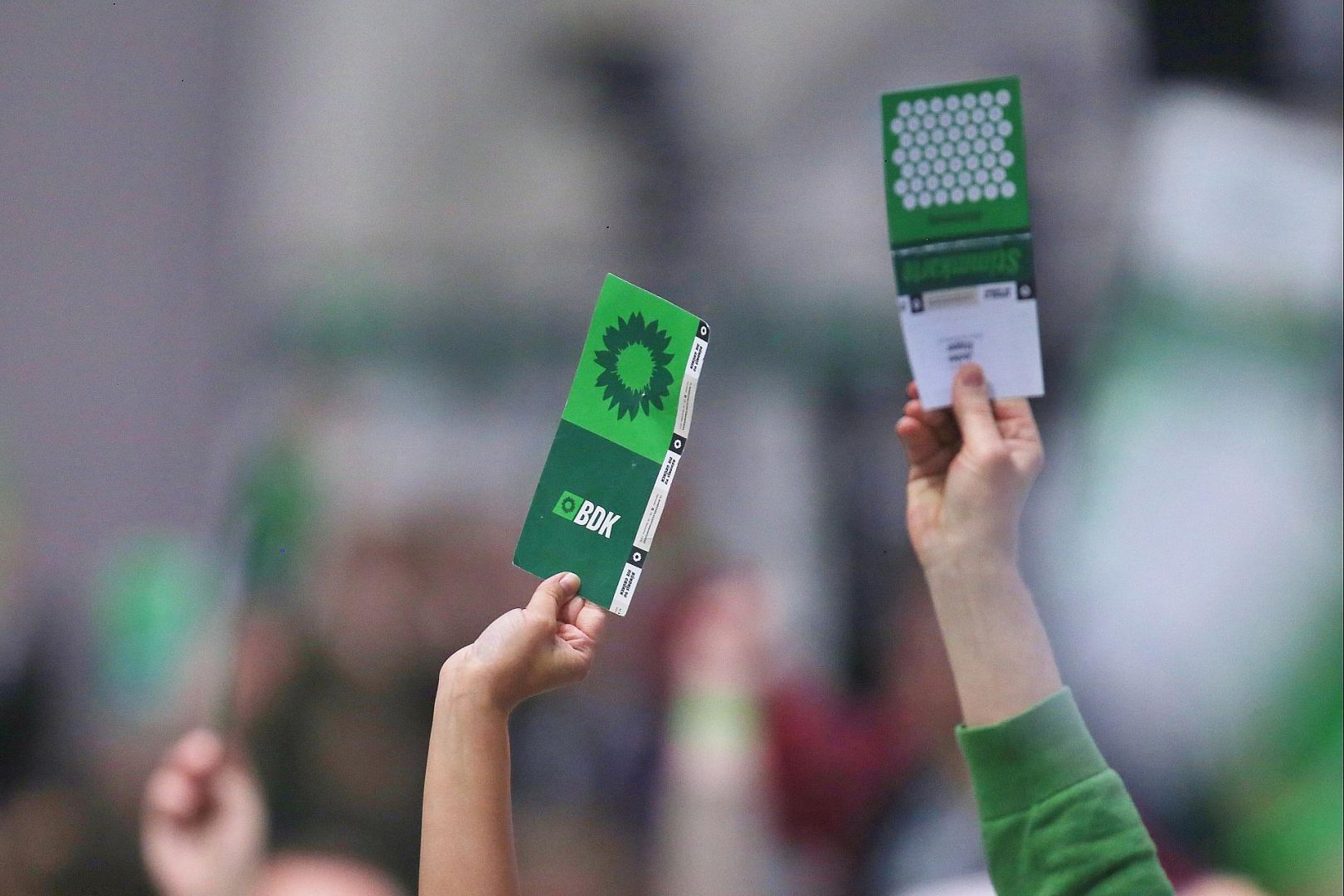 Abstimmung auf Grünen-Parteitag im November 2025