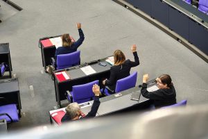 Abstimmung in der Linksfraktion (Archiv)