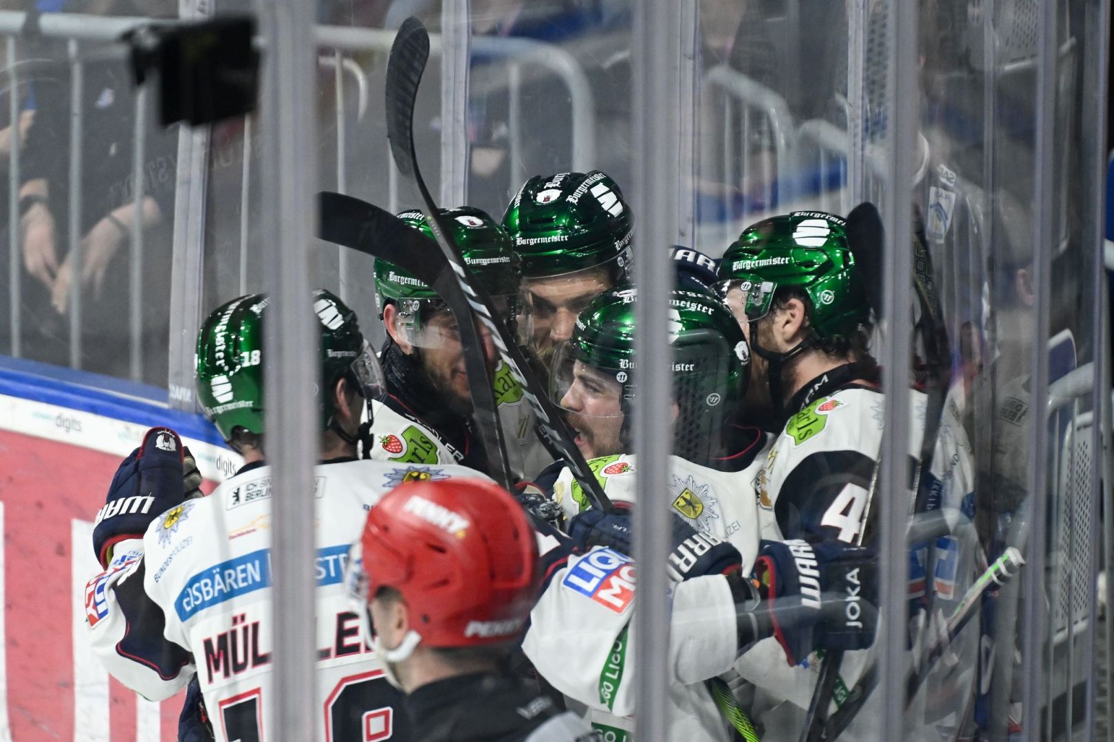 Adler Mannheim - Eisbären Berlin