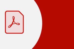 Adobe setzt auf KI – Umsatzrekord und starke Prognose für 2026