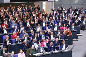AfD-Bundestagsfraktion (Archiv)